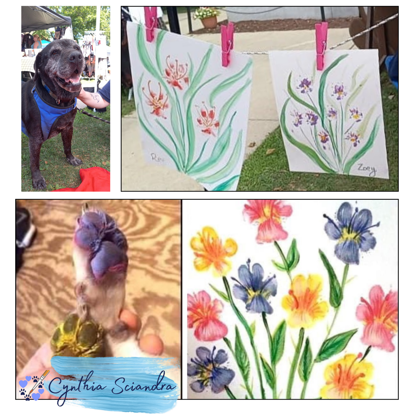 Your Pet Paints – Custom Paw Print Artwork - Clarion, PA