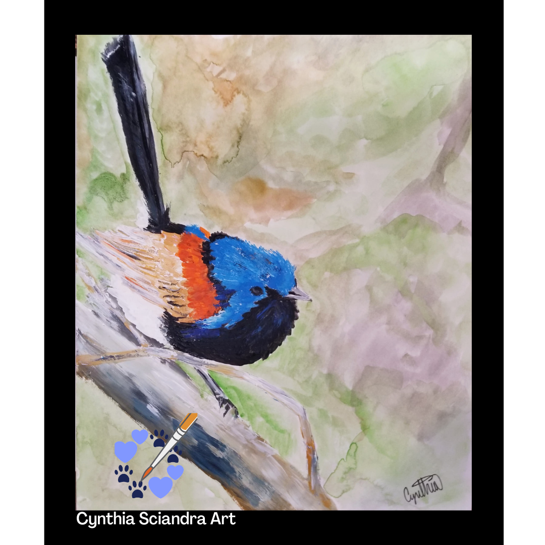 Purple Backed Fairy Wren